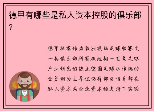 德甲有哪些是私人资本控股的俱乐部？