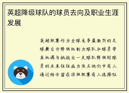英超降级球队的球员去向及职业生涯发展